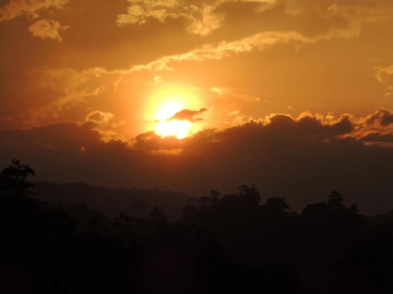 Bed & Breakfast 47 Alfred House - Free Pickup From Kandy City Sri Lanka