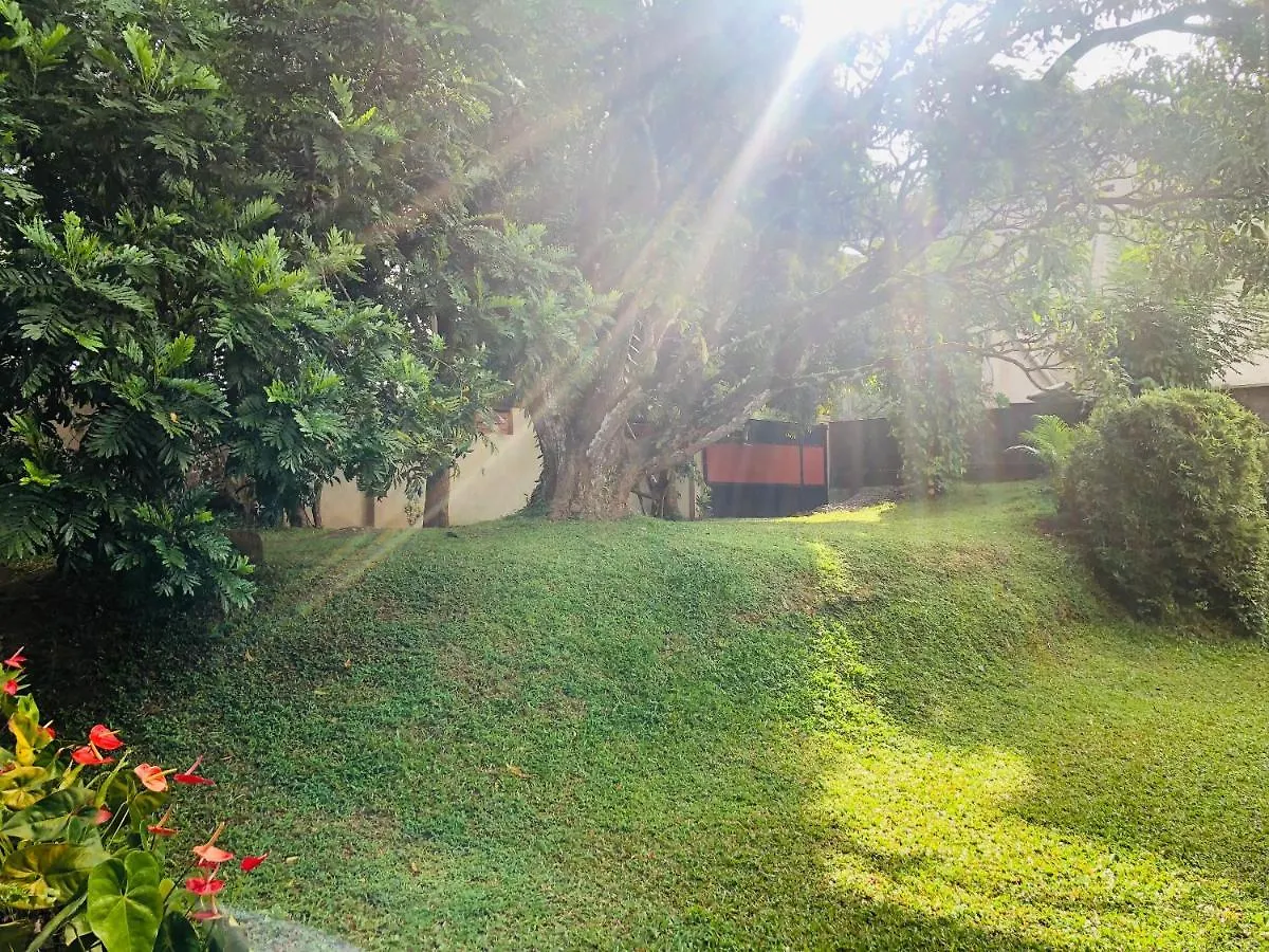 Bed & Breakfast 47 Alfred House - Free Pickup From Kandy City
