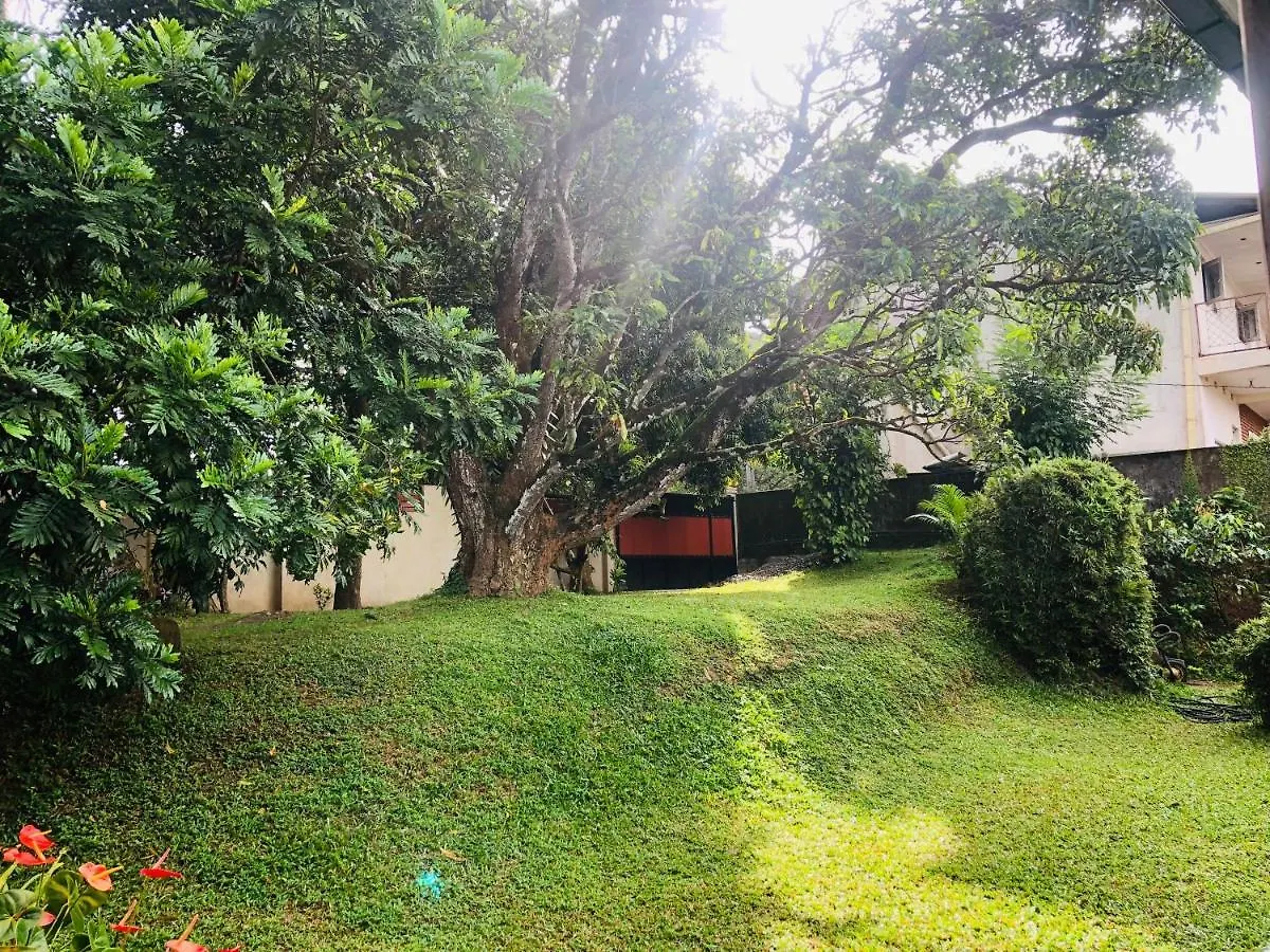 47 Alfred House - Free Pickup From Kandy City contacts